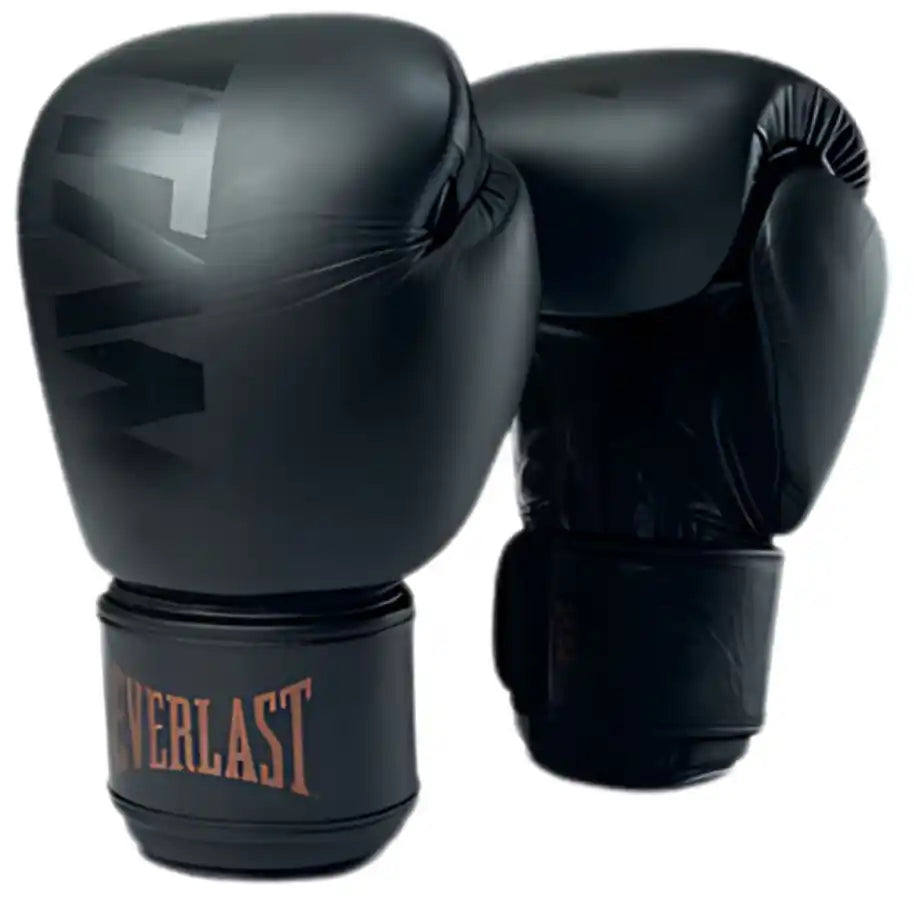 Everlast Boxhandschuhe Titan Muay Thai