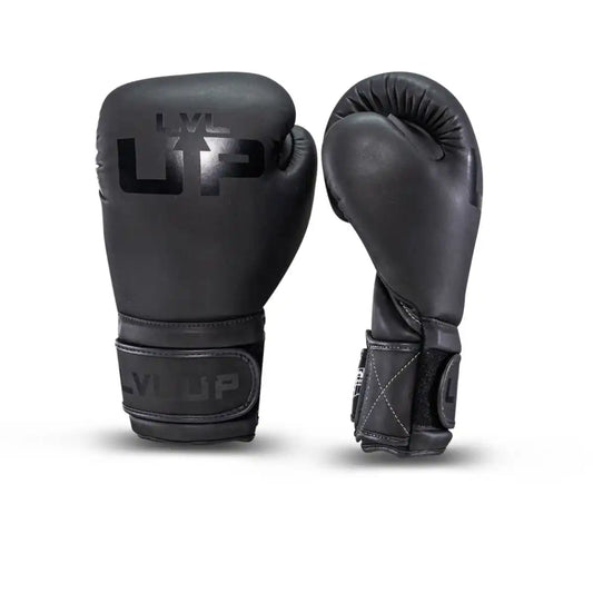 LVL UP Boxhandschuhe BG2