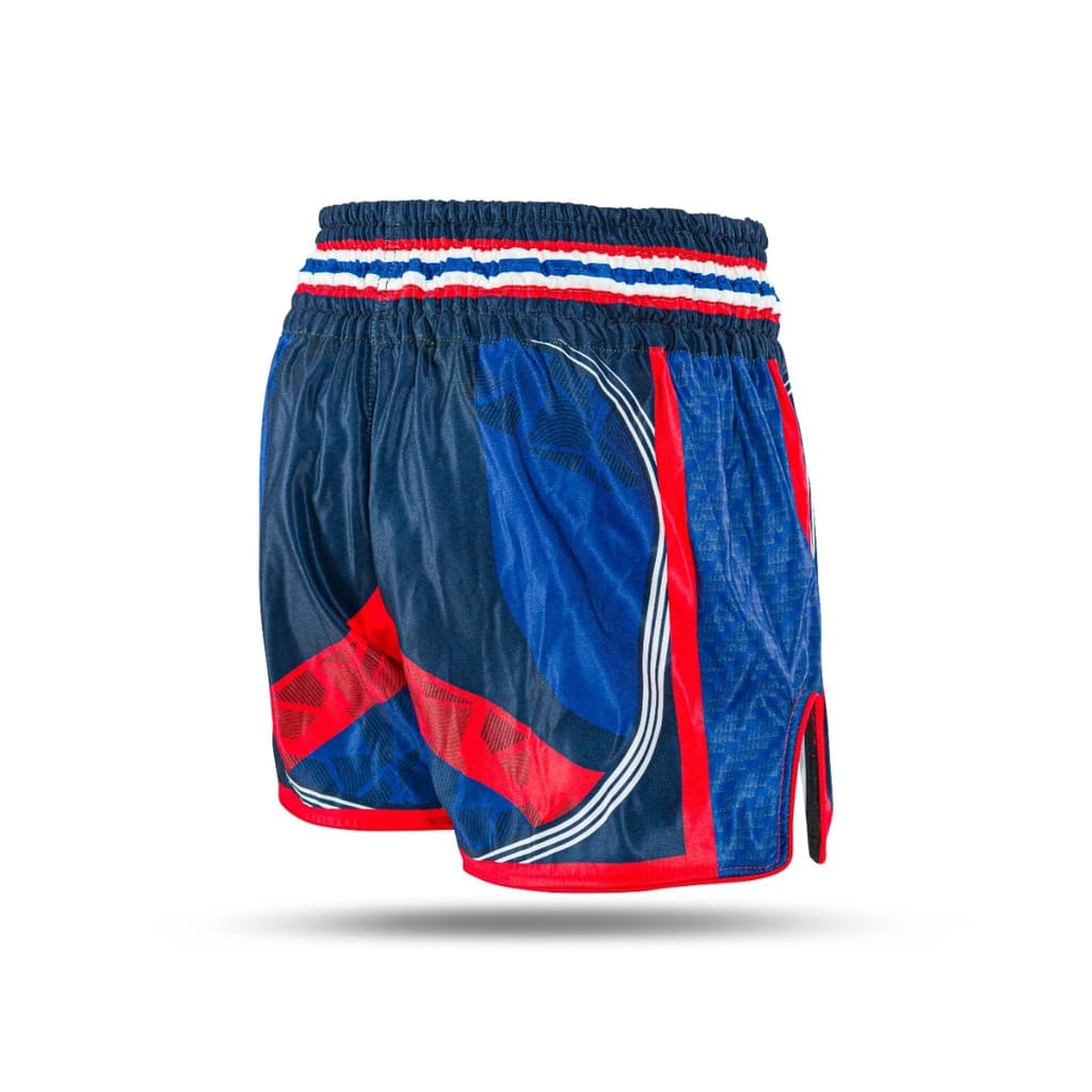 King Pro Boxing Muay Thai Shorts Flag 2