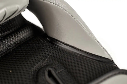 Adidas Boxhandschuhe SPEED TILT 150 Grau/Schwarz
