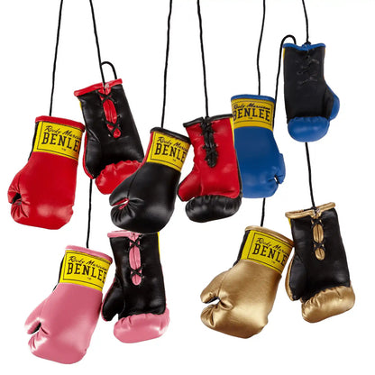 BENLEE Rocky Marciano Mini Boxhandschuhe