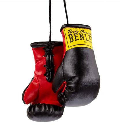 BENLEE Rocky Marciano Mini Boxhandschuhe