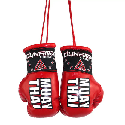 Dynamix Athletics Autospiegel Mini Boxhandschuhe