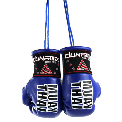 Dynamix Athletics Autospiegel Mini Boxhandschuhe