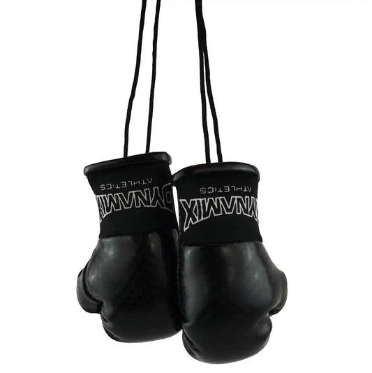 Dynamix Athletics Autospiegel Mini Boxhandschuhe Carbonix