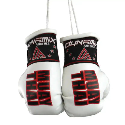 Dynamix Athletics Autospiegel Mini Boxhandschuhe