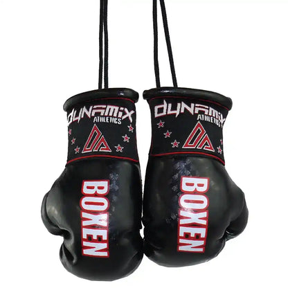 Dynamix Athletics Autospiegel Mini Boxhandschuhe