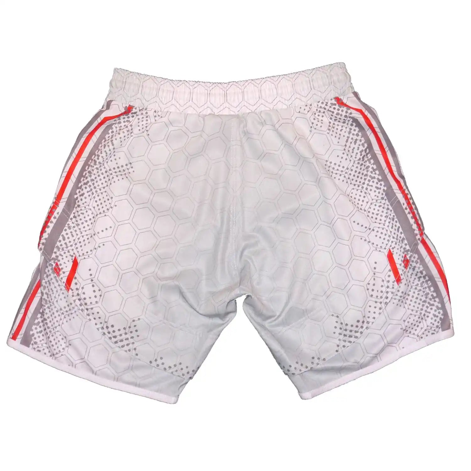 Dynamix Athletics MMA Fight Shorts Sharp Arctic
