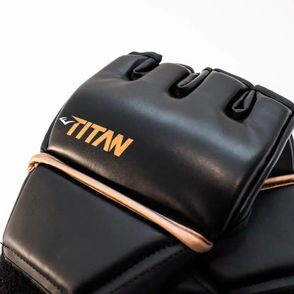 Everlast MMA Handchuhe Titan