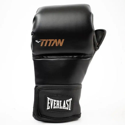 Everlast MMA Sparring Handchuhe Titan Hybrid