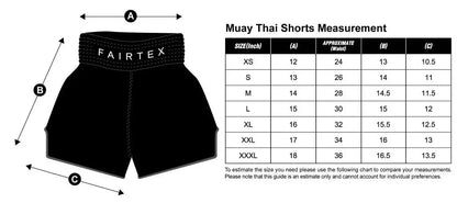 Fairtex X Booster Muay Thai Shorts TBT Schwarz