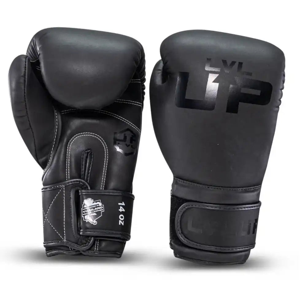 LVL UP Boxhandschuhe BG2
