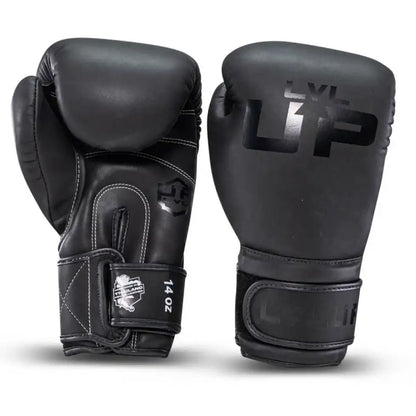 LVL UP Boxhandschuhe BG2