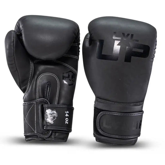 LVL UP Boxhandschuhe BG2