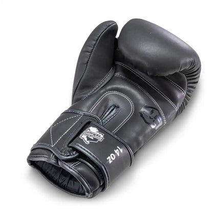 LVL UP Boxhandschuhe BG2