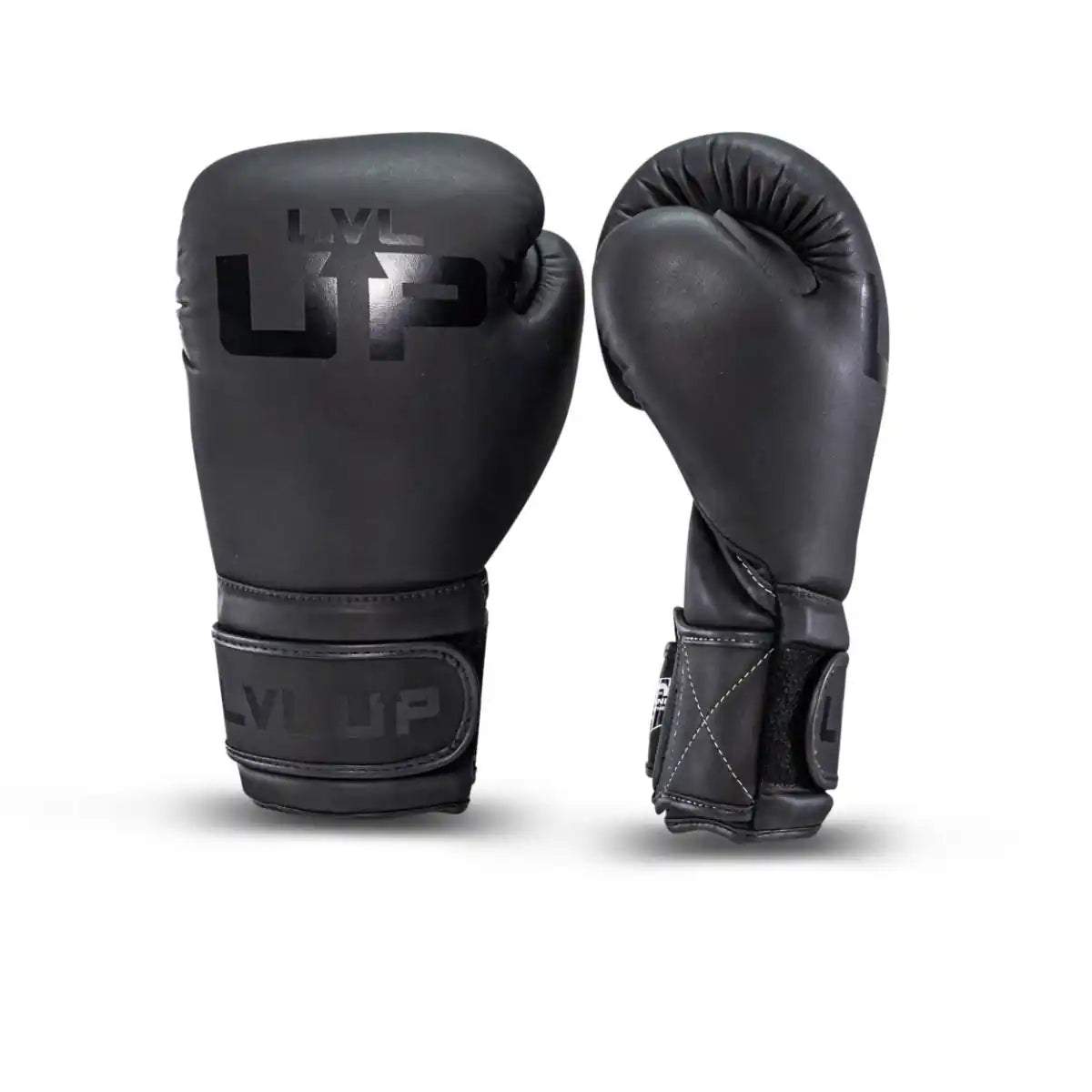 LVL UP Boxhandschuhe BG2