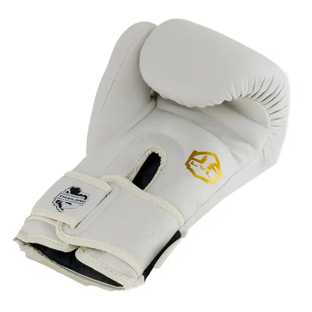 LVL UP Boxhandschuhe BG3