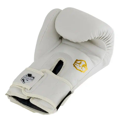 LVL UP Boxhandschuhe BG3