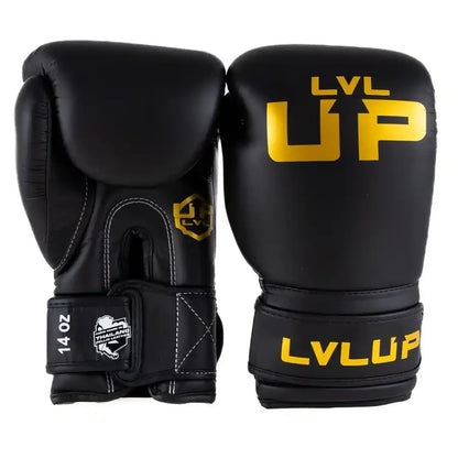 LVL UP Boxhandschuhe BG4