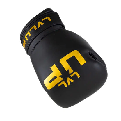 LVL UP Boxhandschuhe BG4
