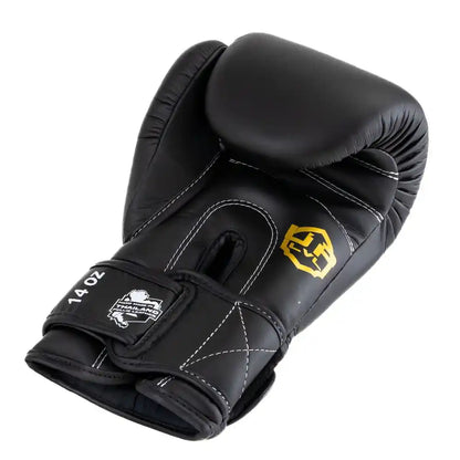 LVL UP Boxhandschuhe BG4