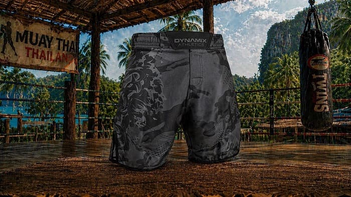 Bild mit einer grauen MMA Shorts für das Mixed Martial Arts
