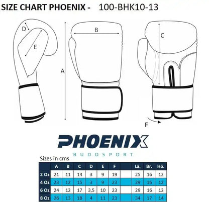 PX Kinder Boxhandschuhe "KIDS GLOVE BOYS"