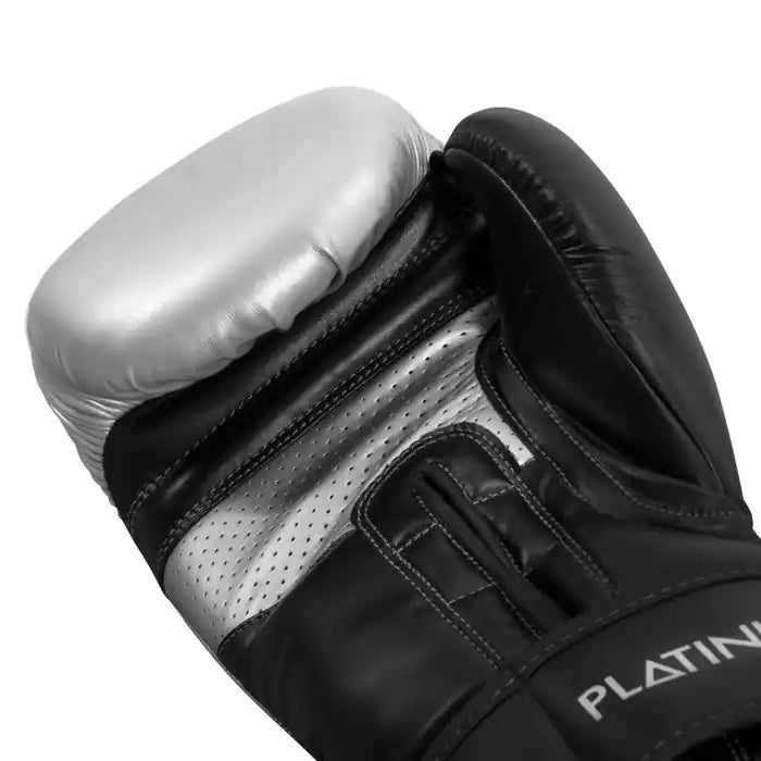 TITLE Boxing Boxhandschuhe Platinum Proclaim